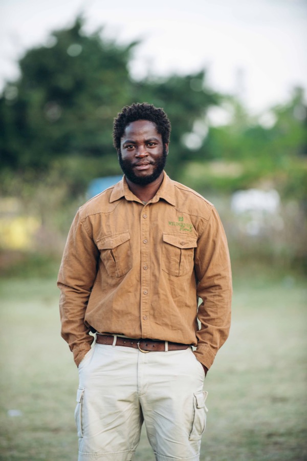 Deniss, Safari Guide